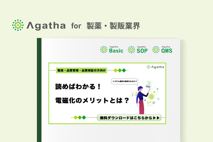 3_2_ebook_denzika_questionnaire.png